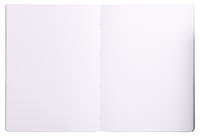 Cahier 24x32 CLAIREFONTAINE petits carreaux 5x5 avec marge 96p 90g